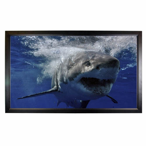 Mustang SC-F135CW169 Fixed Frame Screen 135 diag. (68x120) - HDTV [16:9] - High Contrast White - 1.0 Gain