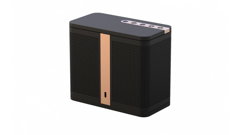 ELAC NAVA100 Portable Bluetooth Speaker - Black
