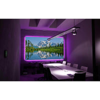 EluneVision EV-ZL-100-1.3 Aurora 4K ALR NanoEdge Screen - 100"(49x87) - HDTV[16:9] - 1.3