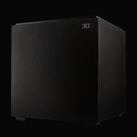 Definitive Technology DN12 1500W 12 inch Subwoofer with Dual 12 inch Bass Radiators