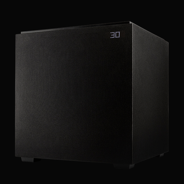Definitive Technology DN12 1500W 12 inch Subwoofer with Dual 12 inch Bass Radiators