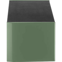 Focal Aria Evo X Two-Way Center Channel Speaker (High-Gloss Moss Green)