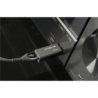 AudioQuest JITTERBUGFMJ JitterBug FMJ USB 2.0 Data & Power Noise Filter