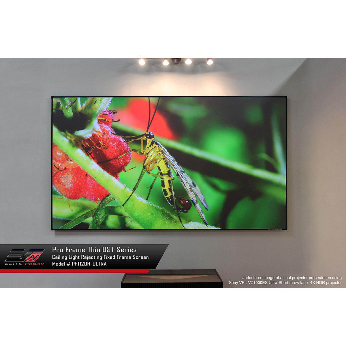 Elite ProAV PFT120H-DST Pro Frame Screen