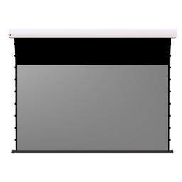 Screen Innovations Short Throw Motorized - 106" (52x92) - 16:9 - Short Throw - STMT106-110V