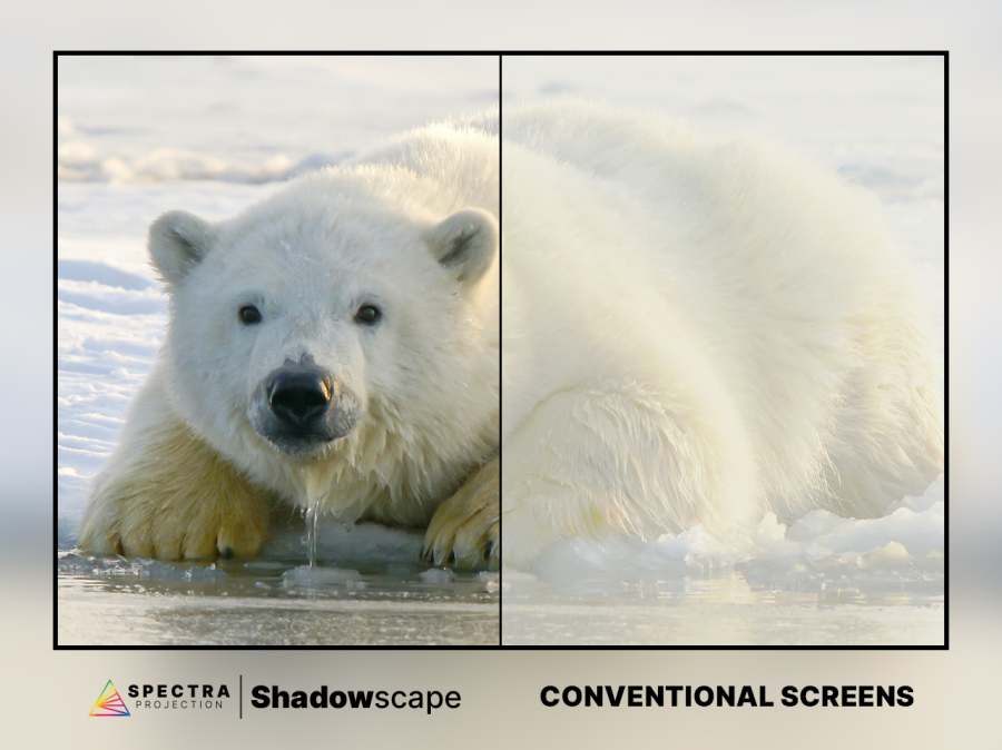 Side-by-side in the same room light: Spectra Shadowscape on the left shows deep contrast and color, a conventional white screen on the right looks washed out