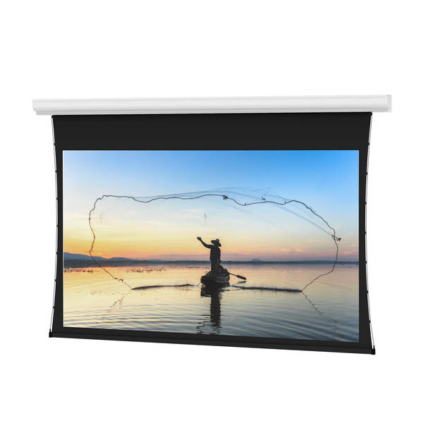 Da-Lite Designer Contour Electrol Tensioned - Agility 14538 - 110" diag.(54x96) - [16:9] - Da-Mat - 1.0