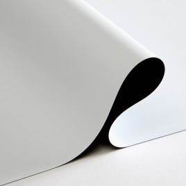 Epic 12 Vinyl Front Projection W/B