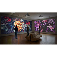 Optoma ZW521 Compact WXGA Laser Projector with 6000 Lumens