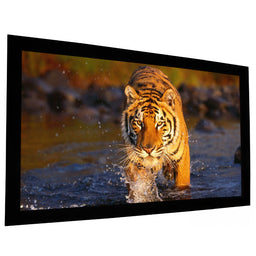 EluneVision 125" (61x109) 16:9 Reference Studio 4K AudioWeave Fixed 1.15 Gain Projector Screen