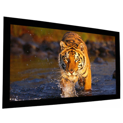 EluneVision 125" (61x109) 16:9 Reference Studio 4K AudioWeave Fixed 1.15 Gain Projector Screen