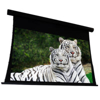 EluneVision 106" (52x92) 16:9 Reference Studio 4K Tab Tensioned AudioWeave 1.15 Gain Projector Screen