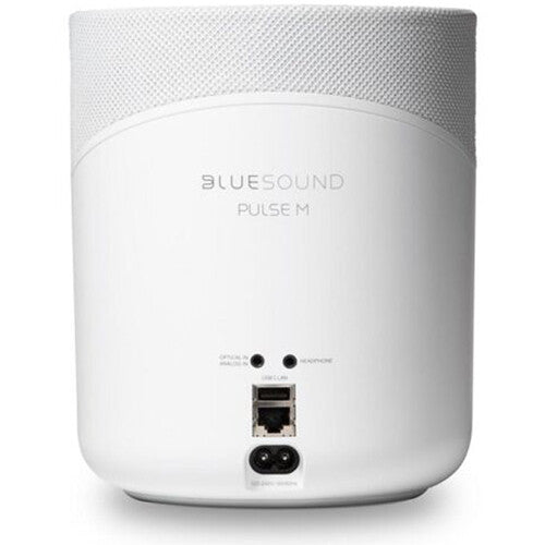 Bluesound Omni-Hybrid Speaker - Thumbnail 5