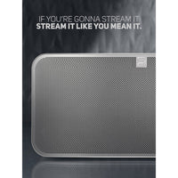 Bluesound PULSE 2i Wireless Speaker (White)