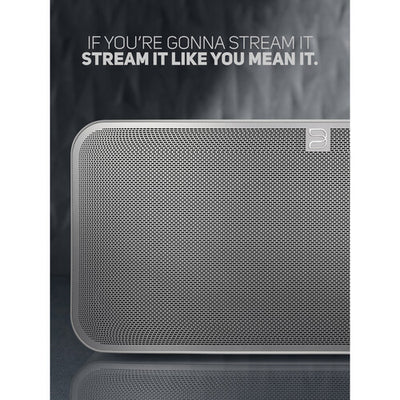 Bluesound PULSE 2i Wireless Speaker (White)