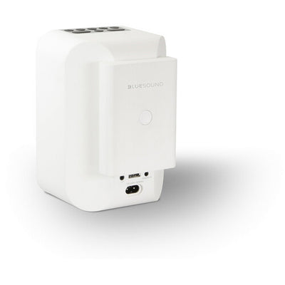 Bluesound PULSE FLEX 2i Wireless Speaker and Battery Pack Bundle (Matte White / White)