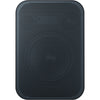 Bluesound PULSE FLEX 2i Wireless Speaker (Matte Black)