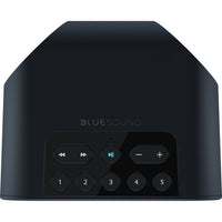 Bluesound PULSE FLEX 2i Wireless Speaker (Matte Black)