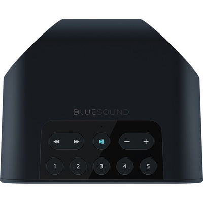 Bluesound PULSE FLEX 2i Wireless Speaker (Matte Black)