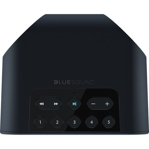 Bluesound PULSE FLEX 2i Wireless Speaker (Matte Black)