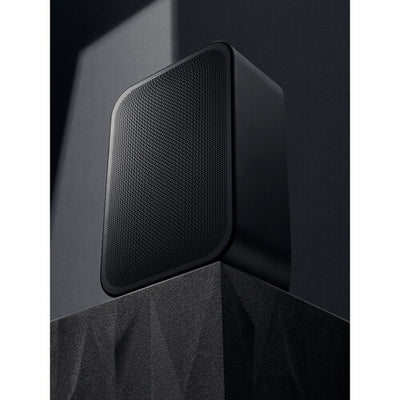Bluesound PULSE FLEX 2i Wireless Speaker (Matte Black)