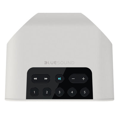 Bluesound PULSE FLEX 2i Wireless Speaker (Matte White)