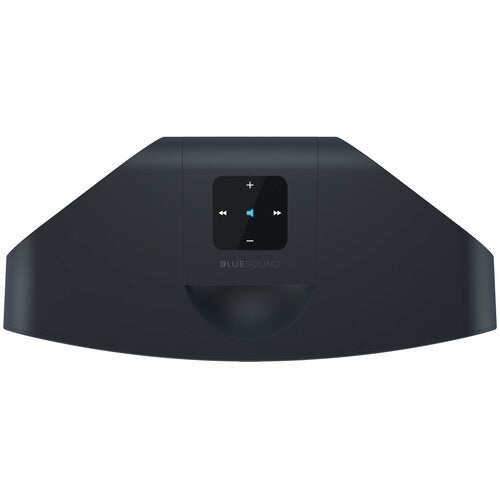 Bluesound PULSE MINI 2i Wireless Speaker (Matte Black)