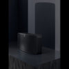 Bluesound PULSE MINI 2i Wireless Speaker (Matte Black)