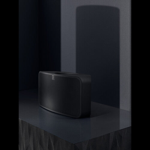 Bluesound PULSE MINI 2i Wireless Speaker (Matte Black)