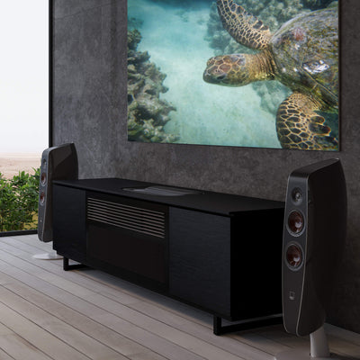 Salamander Designs Chicago 245 Cabinet for integrated Hisense L9Q UST Projector - Black Oak - C2/HSE1UST/245CH/BK