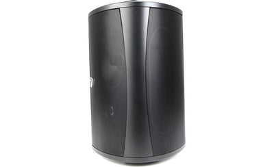 Definitive Technology AW6500 Outdoor speaker (Black)