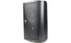 Definitive Technology AW6500 Outdoor speaker (Black)