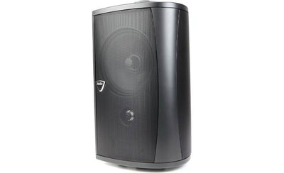Definitive Technology AW6500 Outdoor speaker (Black)