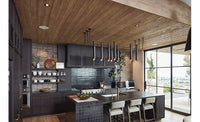 Definitive Technology DC-80 MAX In-ceiling speaker