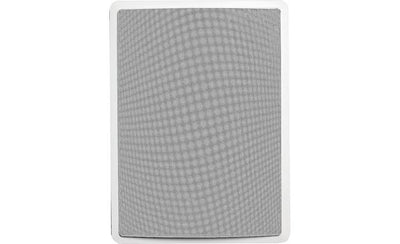 Definitive Technology IWSub 10/10 Passive in-wall subwoofer