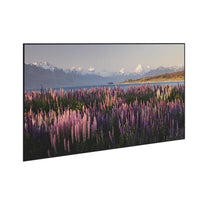 Da-Lite Parallax Thin DL17003 - 100" Diag.(49x87) - [16:9] - Parallax Pure UST 0.6