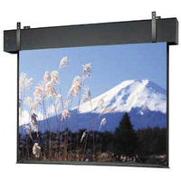 Da-Lite Professional Electrol 38701 - 326" diag.(160x284) - [16:9] - Matte White - 1.0 - [CUSTOM]