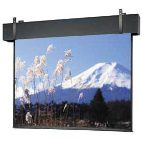 Da-Lite Professional Electrol 38701 - 326" diag.(160x284) - [16:9] - Matte White - 1.0 - [CUSTOM]