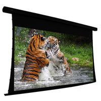 EluneVision 150" (74x130) 16:9 Reference Studio 4K Tab Tensioned 1.0 Gain Projector Screen