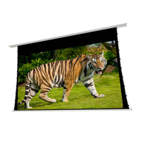 EluneVision 150" (74x130) 16:9 Reference Studio Tab-Tensioned In-Ceiling Screen 4K+ 1.0 Gain Projector Screen - EV-TIC-150-1.0