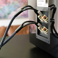 SVS Soundpath Ultra Bi-Wire-Speaker Cable - 10Ft