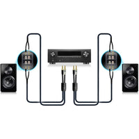 SVS Soundpath Ultra Bi-Wire-Speaker Cable - 10Ft