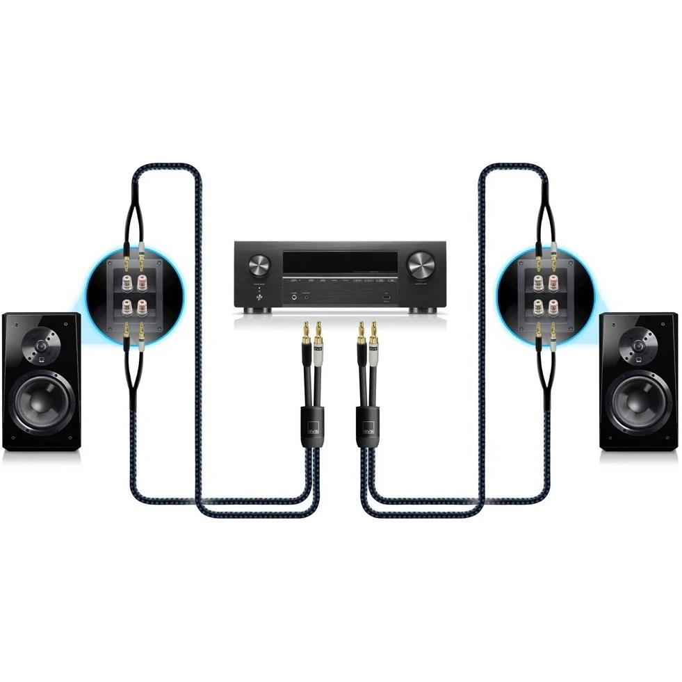 SVS Soundpath Ultra Bi-Wire-Speaker Cable - 10Ft