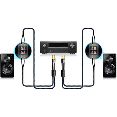 SVS Soundpath Ultra Bi-Wire-Speaker Cable - 10Ft