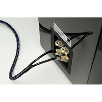 SVS Soundpath Ultra-Speaker Cable 10Ft
