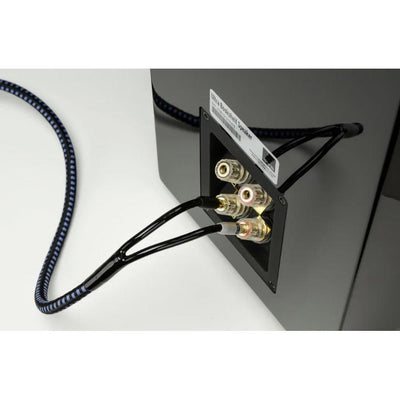 SVS Soundpath Ultra-Speaker Cable 10Ft