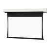 Da-Lite Tensioned Advantage Deluxe Electrol Screen Only w/Fabric and Roller Assembly For Model 34594