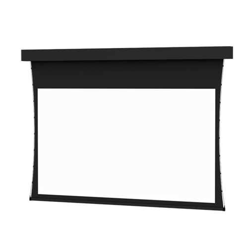 Da-Lite Professional Electrol Tensioned 99904 - 210" diag.(126x168) - [4:3] - Da-Mat - 1.0 - [CUSTOM]